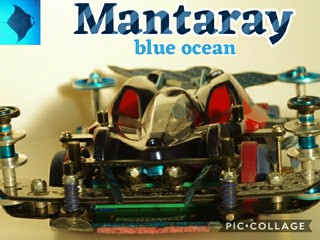 Mantaray blue ocean